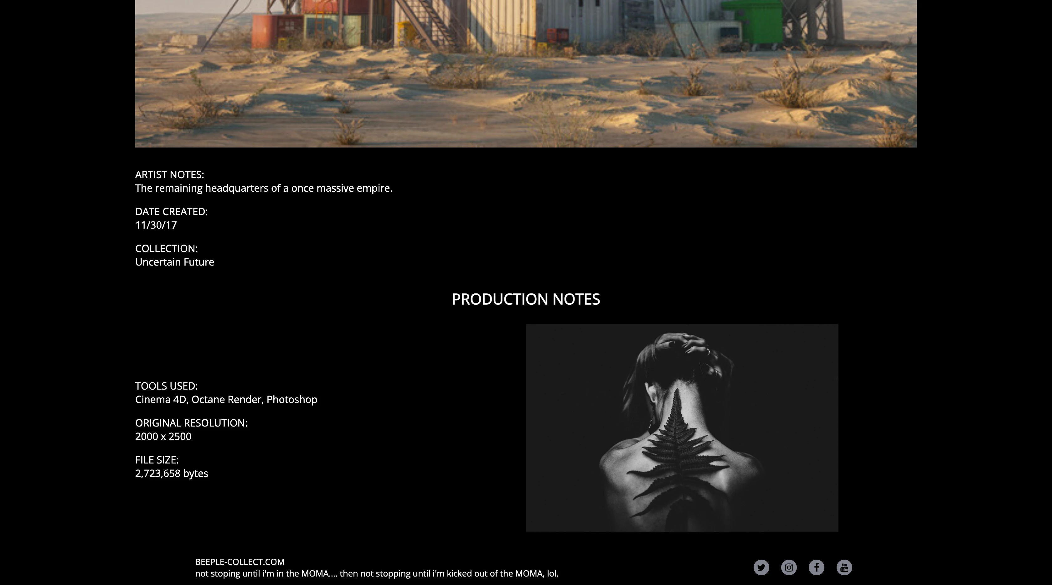 website, identitate vizuală digitală, creare site zalau